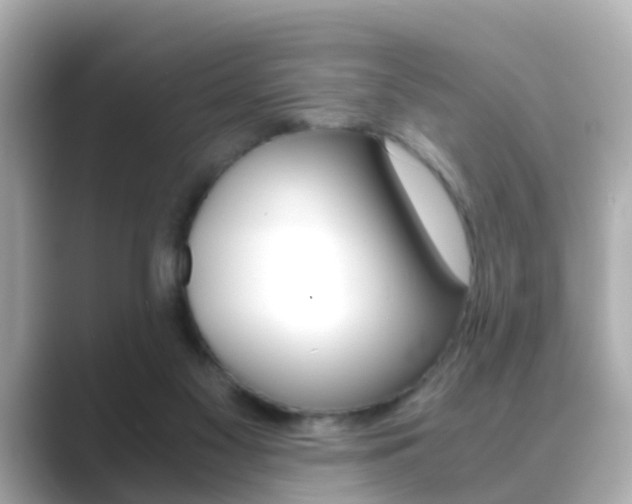 X0000089690117200706210842