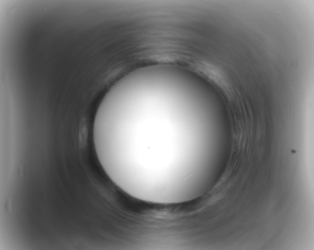 X0000089690120200706210842