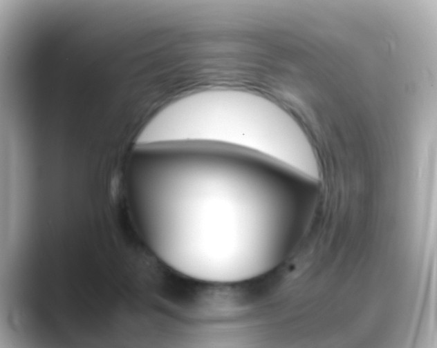X0000089690123200706210842