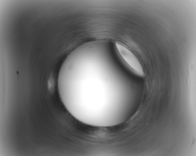 X0000089690124200706210842