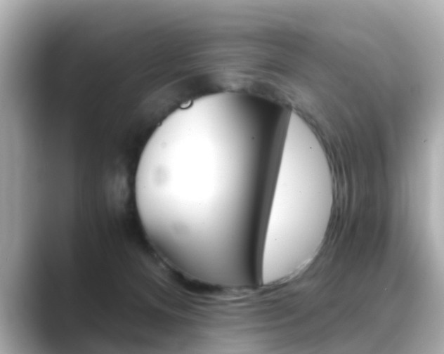 X0000089690128200706210842