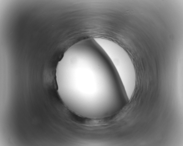 X0000089690129200706210842