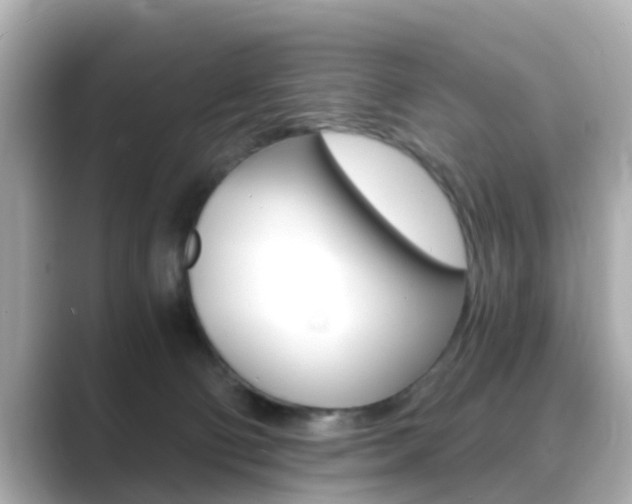 X0000089690130200706210842