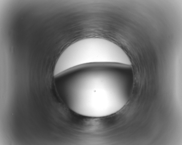 X0000089690132200706210841