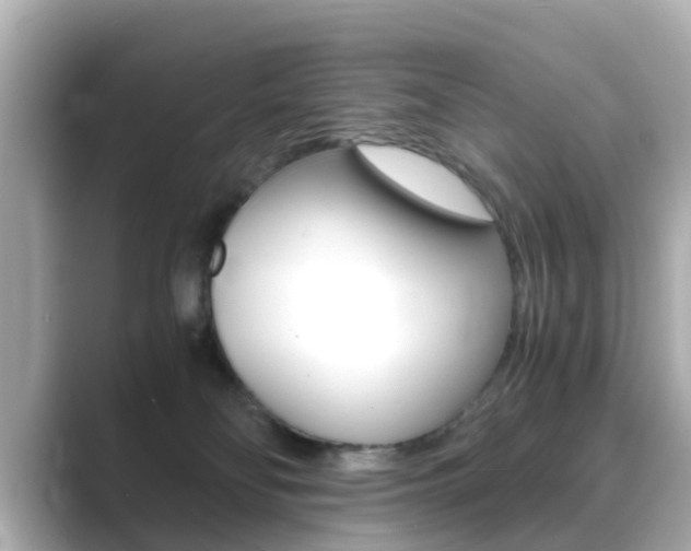 X0000089690134200706210841