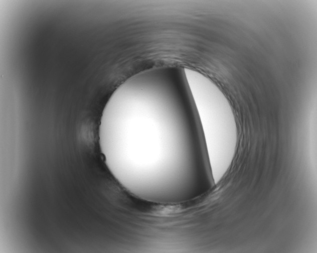 X0000089690135200706210841
