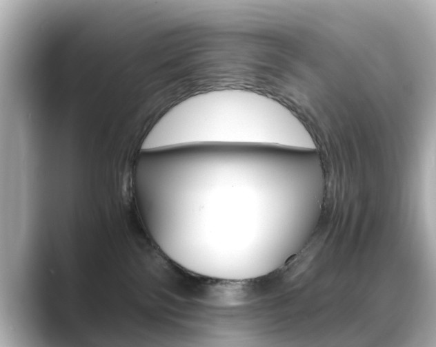 X0000089690138200706210841