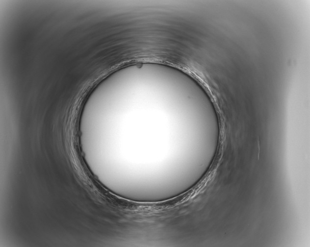 X0000089690145200706210841