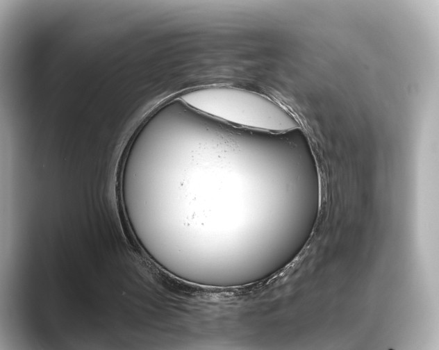 X0000089690147200706210841