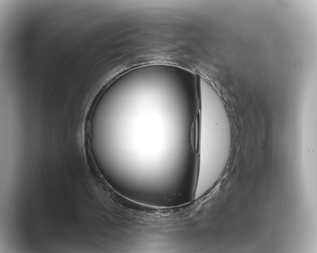 X0000089690148200706210841