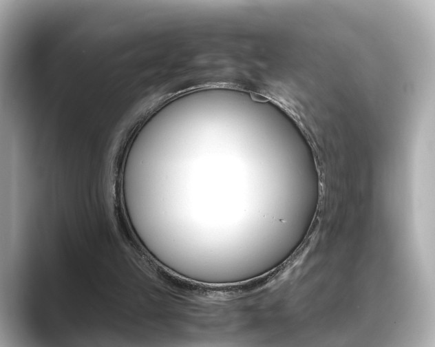 X0000089690149200706210841