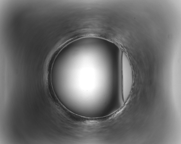 X0000089690150200706210841
