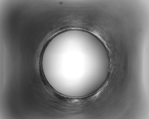 X0000089690151200706210841