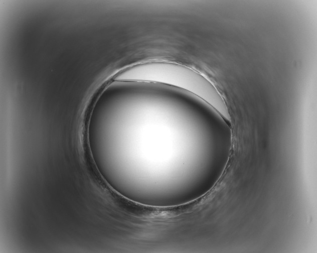 X0000089690152200706210841