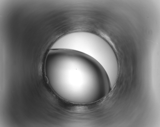 X0000089690154200706210841