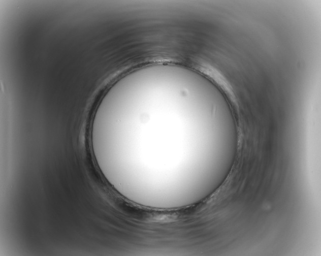 X0000089690155200706210841