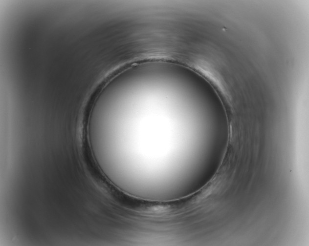 X0000089690156200706210841