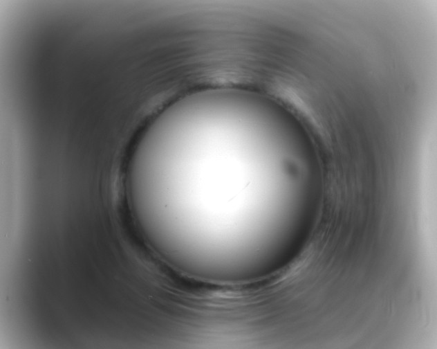 X0000089690164200706210841