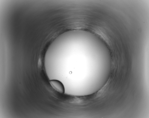X0000089690166200706210841