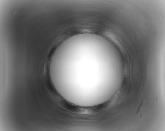 X0000089690167200706210841