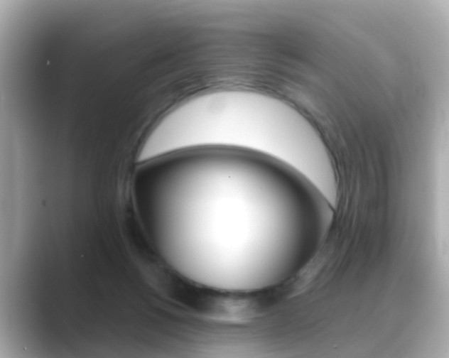 X0000089690168200706210841