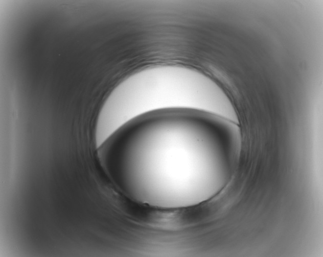 X0000089690170200706210841