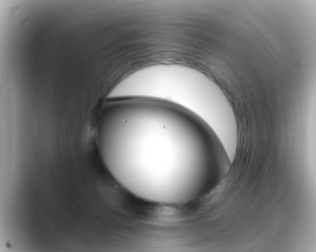 X0000089690176200706210841