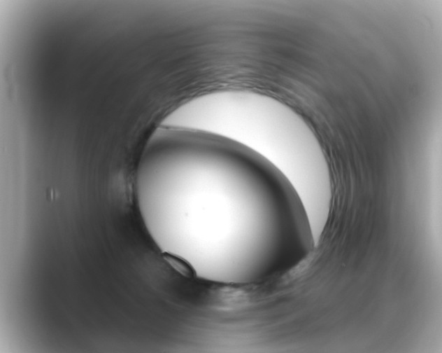 X0000089690180200706210841