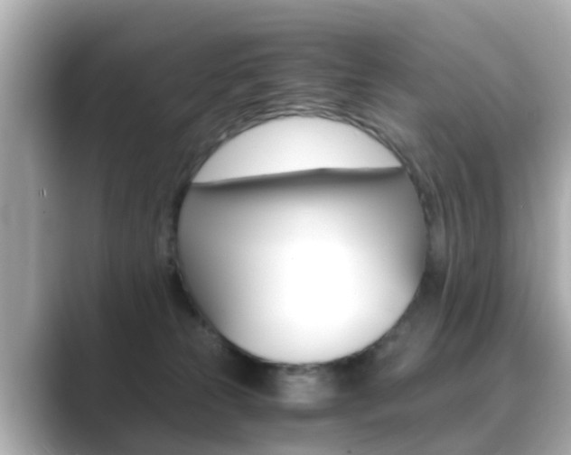 X0000089690181200706210841