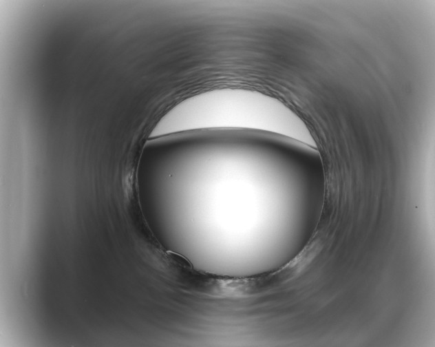 X0000089690188200706210841