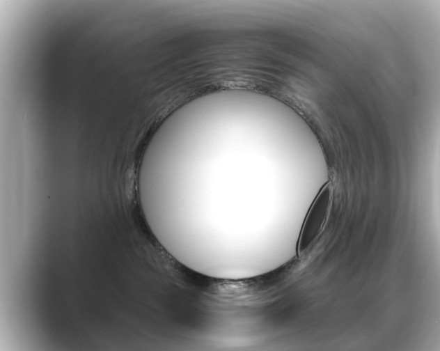 X0000089690189200706210841