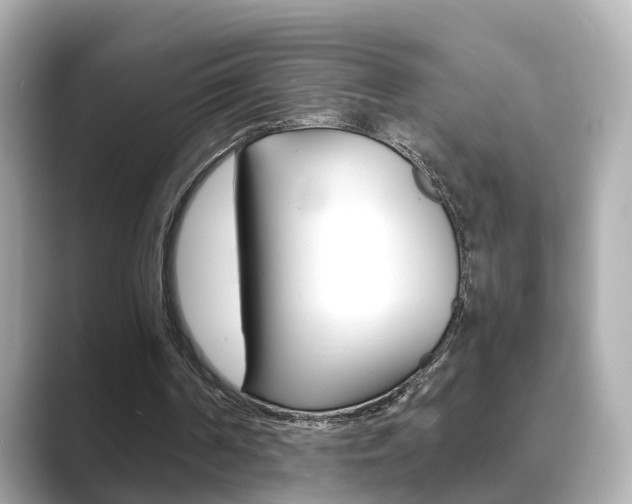 X0000089690194200706210841