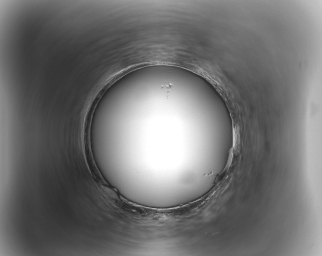 X0000089690195200706210841
