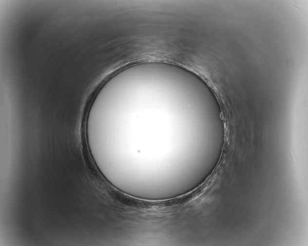X0000089690196200706210841