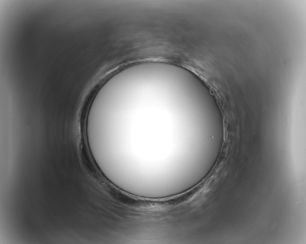 X0000089690198200706210841