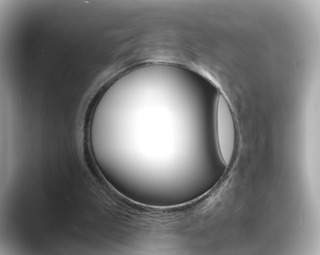 X0000089690199200706210841