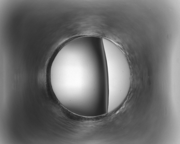 X0000089690200200706210841