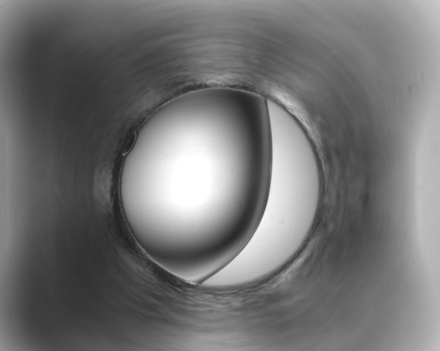 X0000089690201200706210841