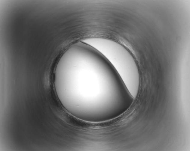 X0000089690203200706210841