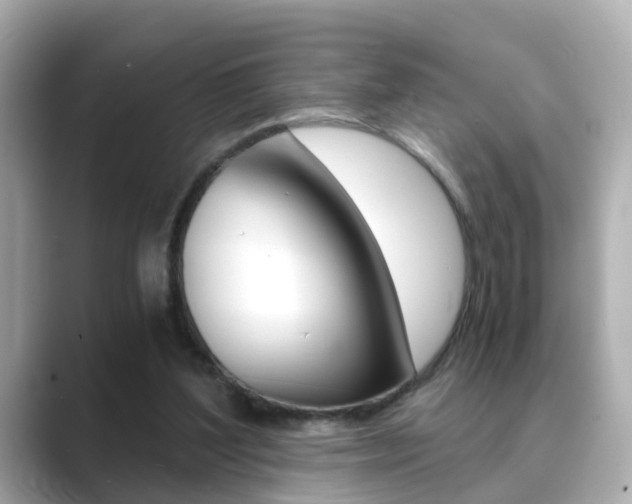 X0000089690204200706210841