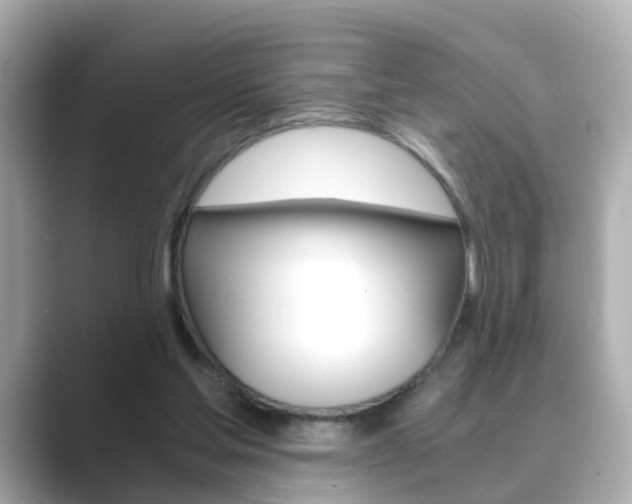 X0000089690205200706210841
