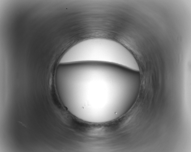 X0000089690206200706210841