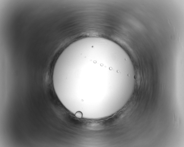 X0000089690208200706210841
