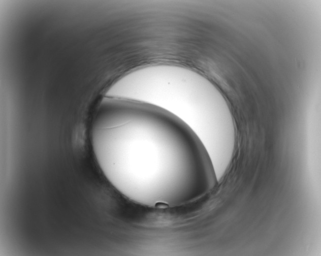X0000089690211200706210840