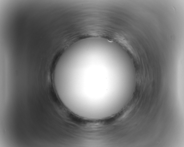 X0000089690213200706210840