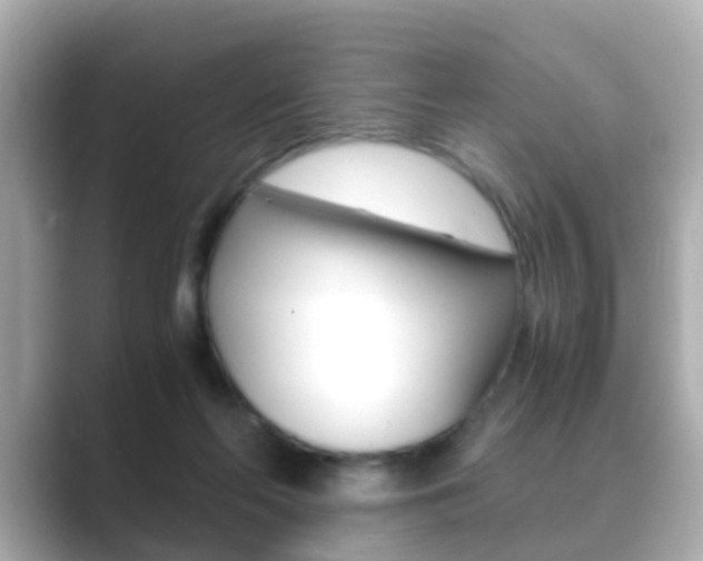 X0000089690214200706210840