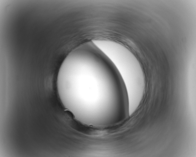 X0000089690217200706210840