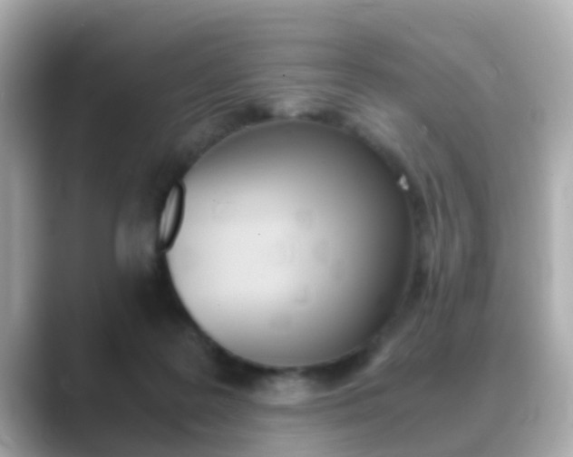 X0000089690219200706210840
