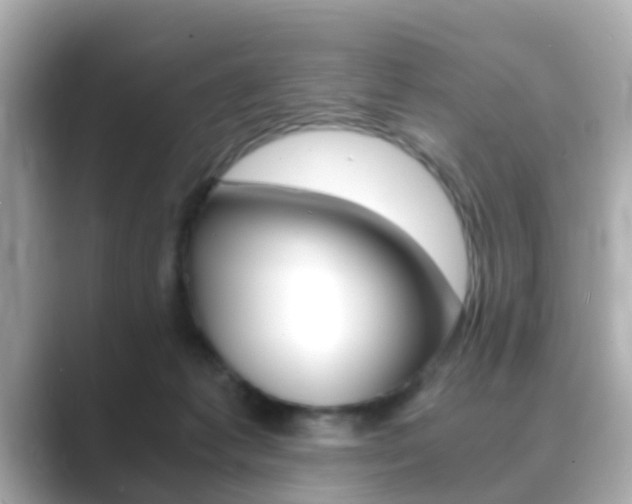 X0000089690221200706210840