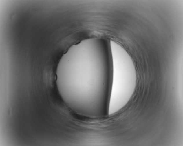 X0000089690223200706210840